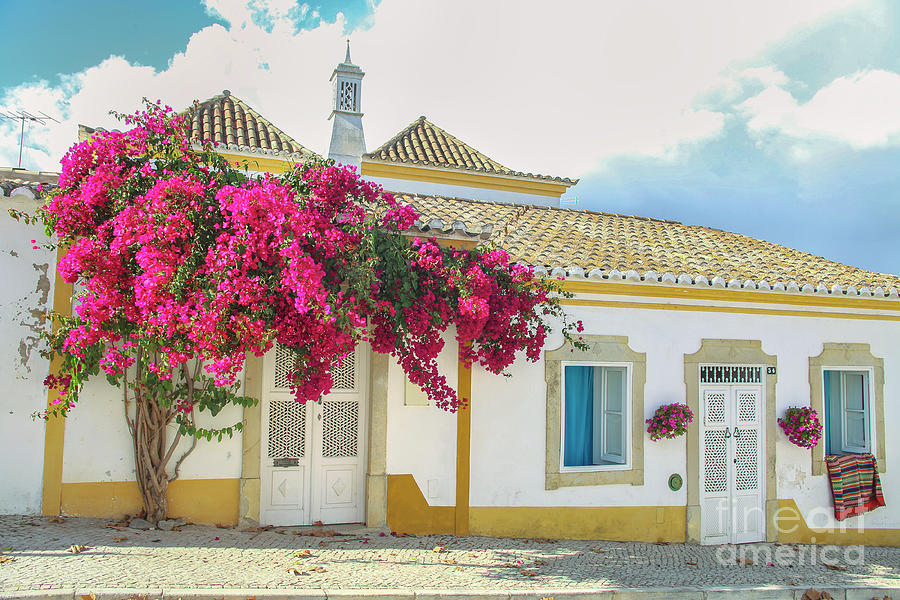 Beautiful street in Tavira, Portugal Photograph by Patricia Hofmeester