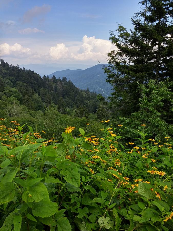 Summer Photograph - Beautiful Summer by Yazid Ismail Summer Photograph - Beautiful Summer by Yazid Ismail