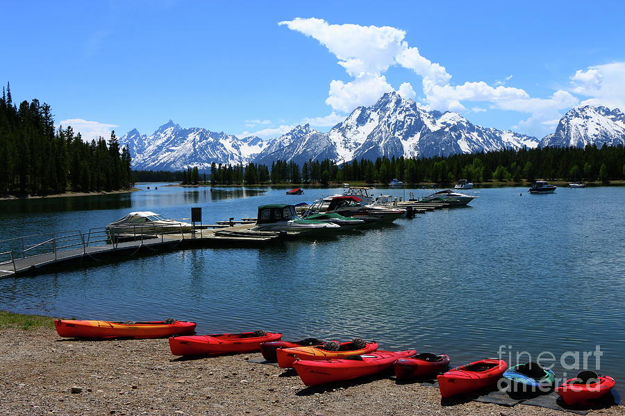 Beautiful Summerday At Colter Bay Photograph by Christiane Schulze Art And Photography