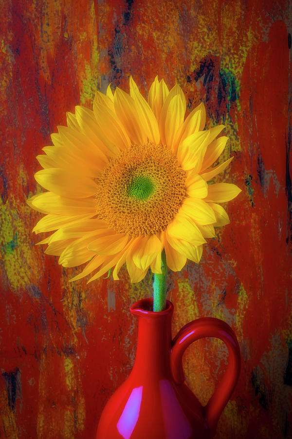 Beautiful Sunflower In Red Pitcher Photograph by Garry Gay