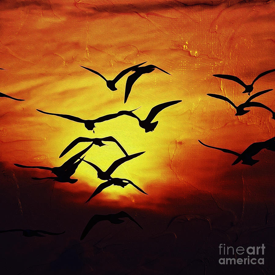 Beautiful sunset  Painting by Gull G