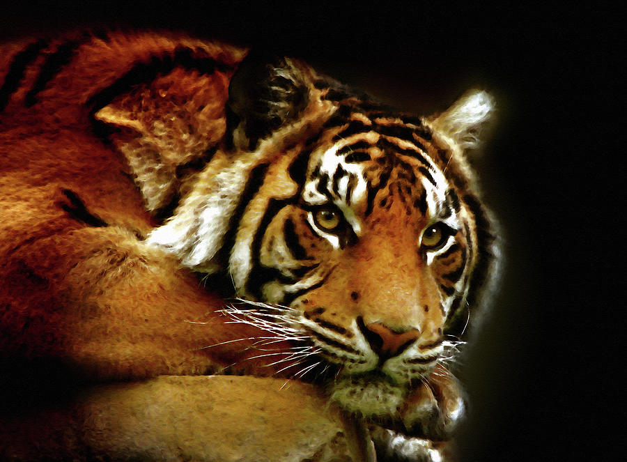 Wildlife Mixed Media - Beautiful Tiger Eyes Watching You by Georgiana Romanovna