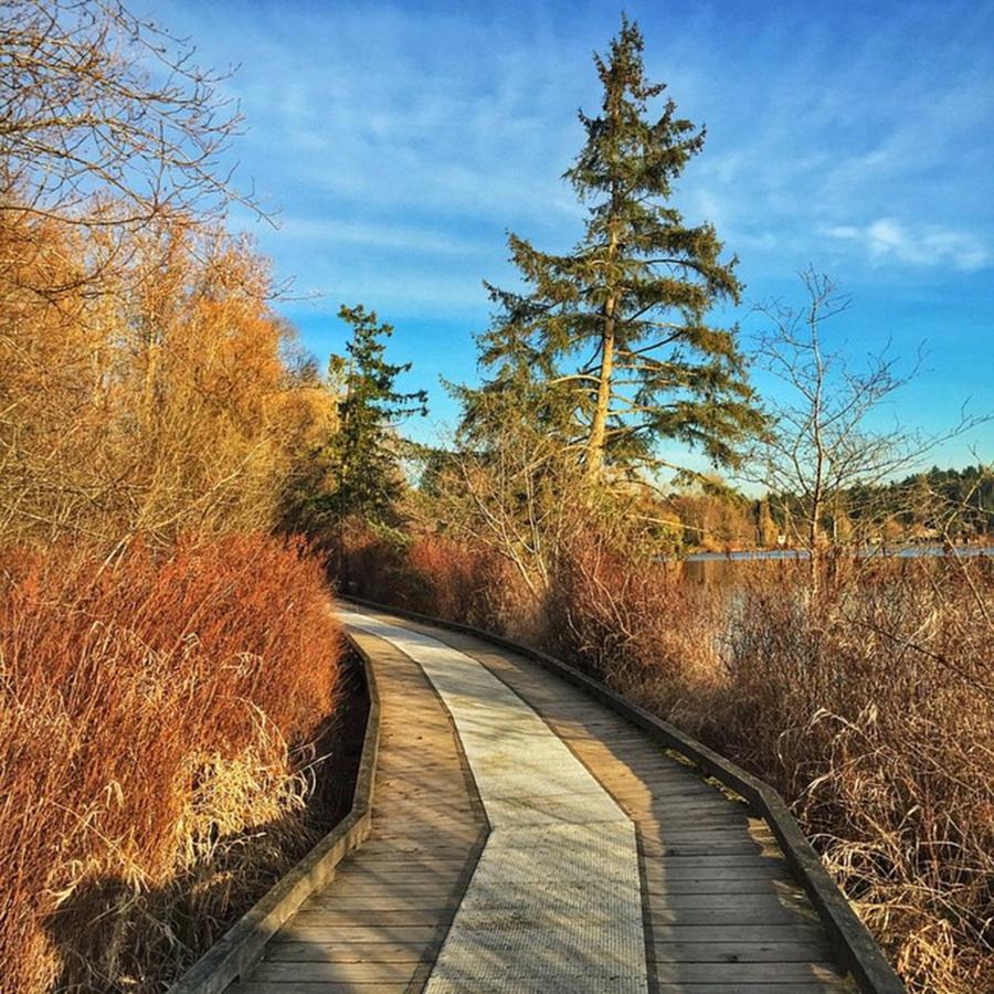 Nature Photograph - #beautiful Trail At Deer Lake In by Evgeny Demin