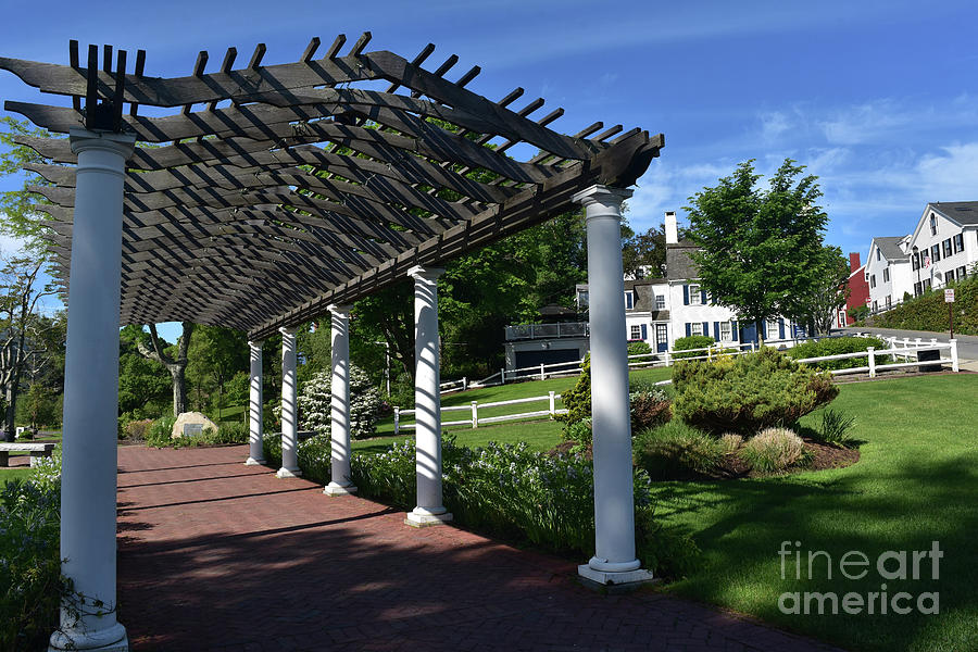 Beautiful Trellis In Plymouth By Brewster Gardens Photograph By