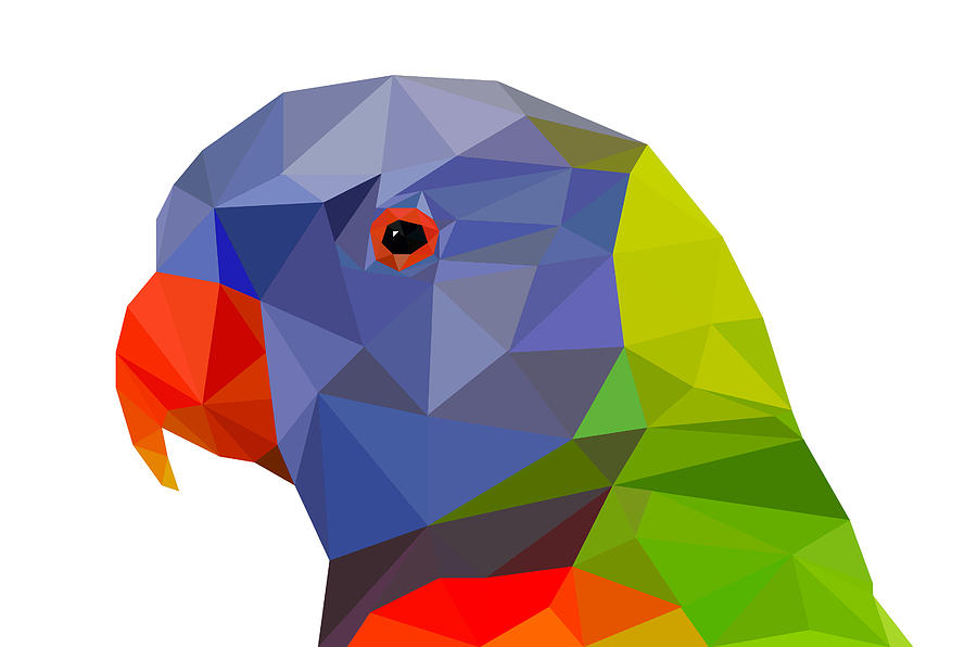 Beautiful Tropical Bird Lowpoly Digital Art by Farris Al-Rawi - Fine ...