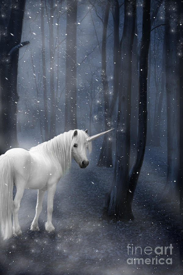 Beautiful Unicorn In Snowy Forest Photograph by Ethiriel Photography