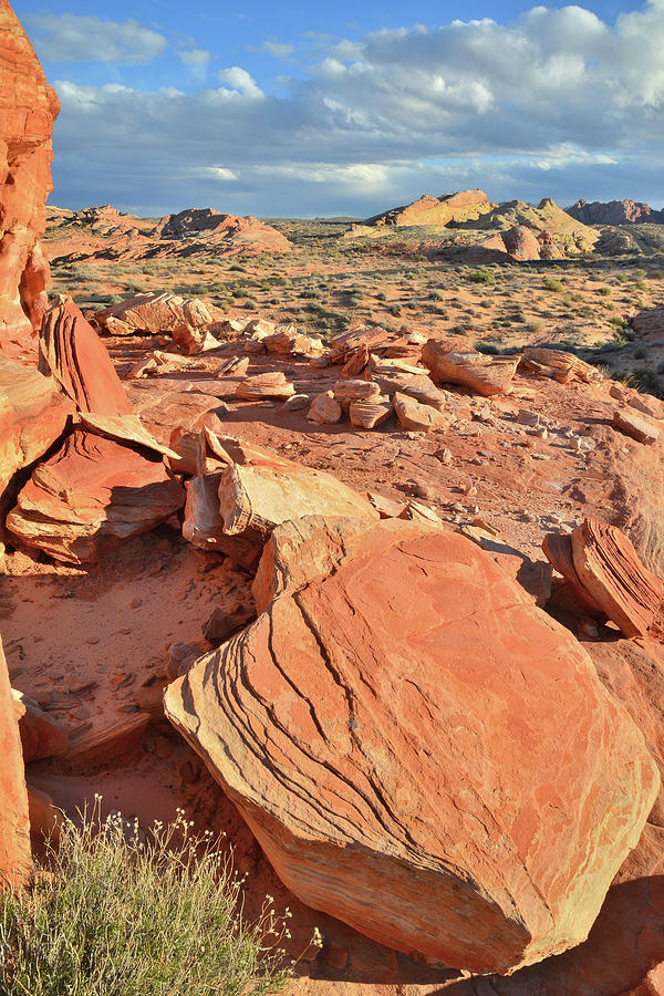 Beautiful Valley of Fire Evening Photograph by Ray Mathis