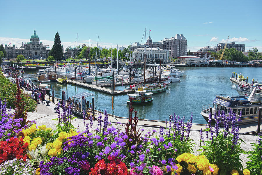 Beautiful Victoria Harbor Photograph by Lucinda Walter