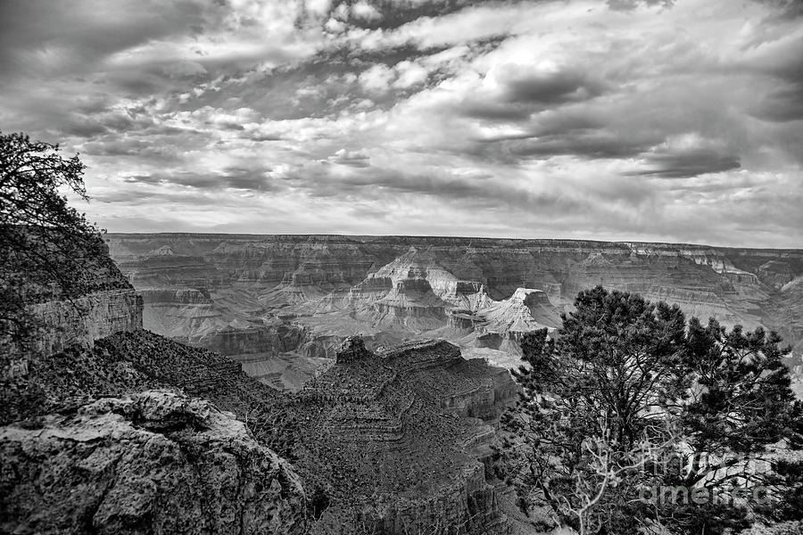 Beautiful View Grand Canyon BW Photograph by Chuck Kuhn