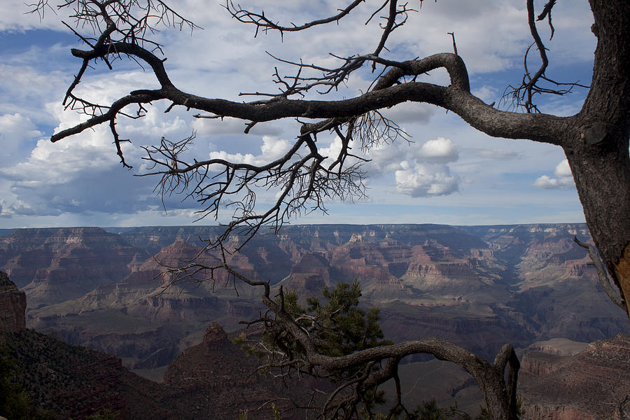 Beautiful View of Grand Canyon Photograph by Ivete Basso Photography