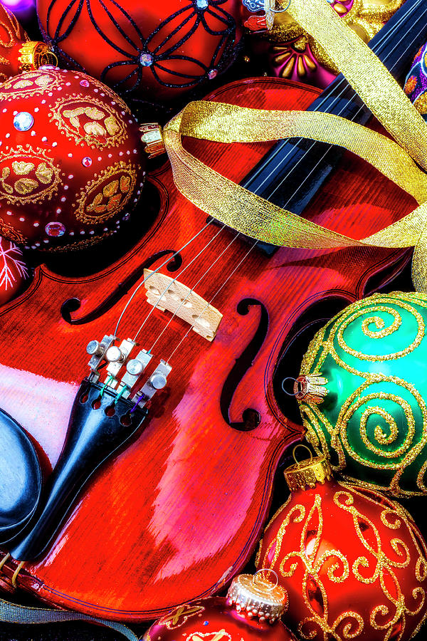 Beautiful Violin And Ornaments Photograph by Garry Gay