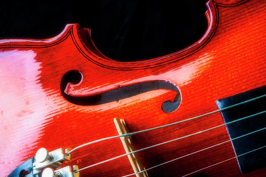 Beautiful Violin Close Up Photograph by Garry Gay