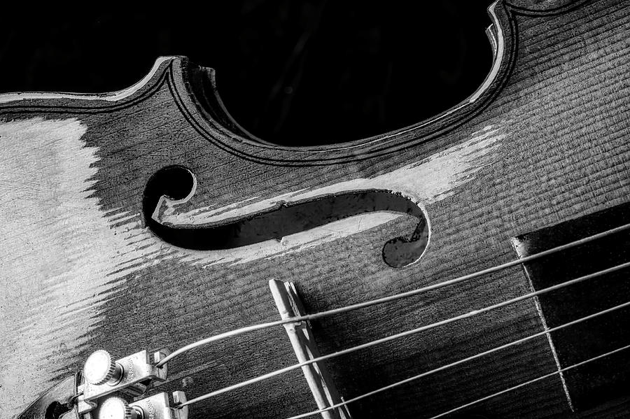 Beautiful Violin Close Up In Black And White Photograph by Garry Gay