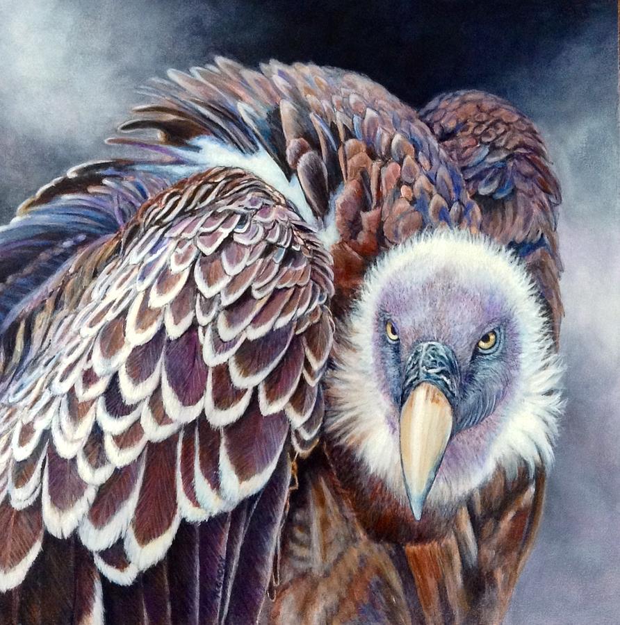 vulture painting