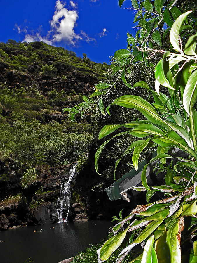 Beautiful Waimea Falls II Photograph by Elizabeth Hoskinson