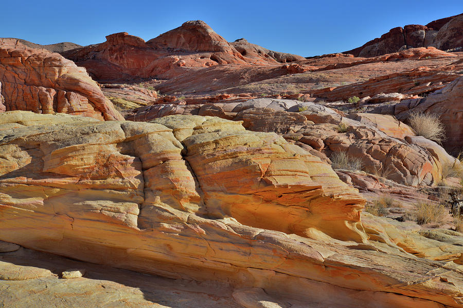 Beautiful Wash 3 of Valley of Fire State Park Photograph by Ray Mathis