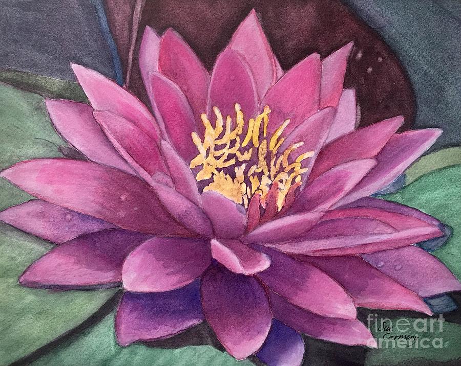 Summer Painting - Beautiful Water Lily by Sue Carmony