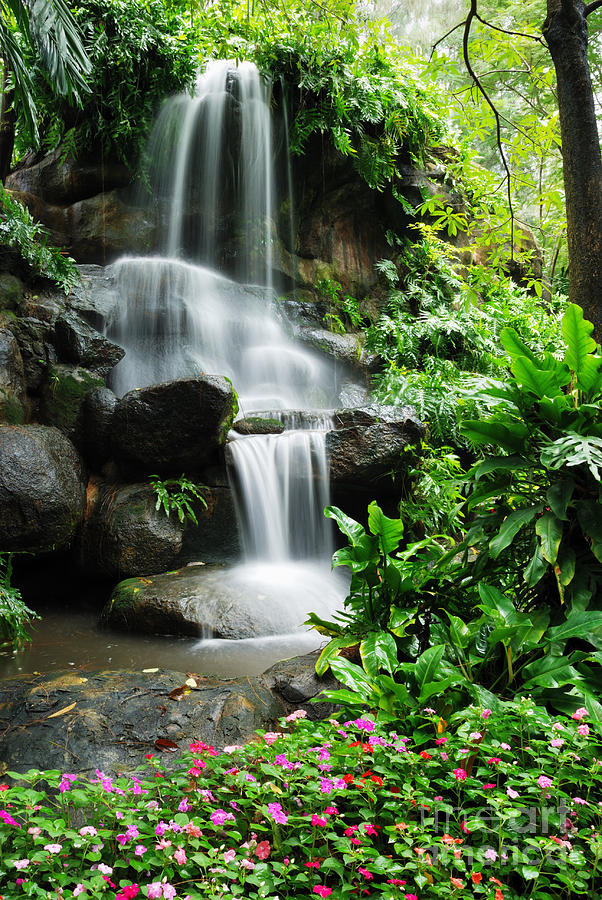 Beautiful waterfall in the garden Photograph by Natapong Paopijit ...