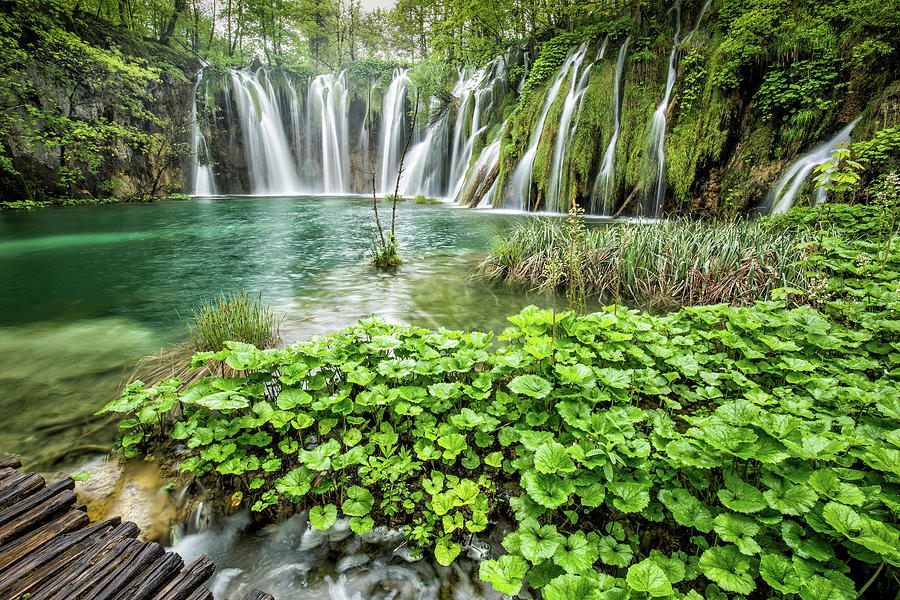 Beautiful Waterfalls Photograph by Lindley Johnson