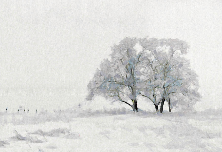 Beautiful White Winter Scene Snow Tree Rural Landscape Painting By Wall