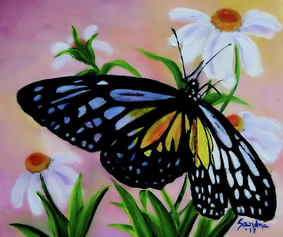 Beautiful Wings by Sandra Maddox Beautiful Wings by Sandra Maddox