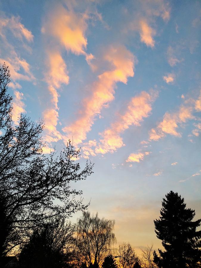 Beautiful Winter Sky Photograph by Darrell MacIver - Fine Art America