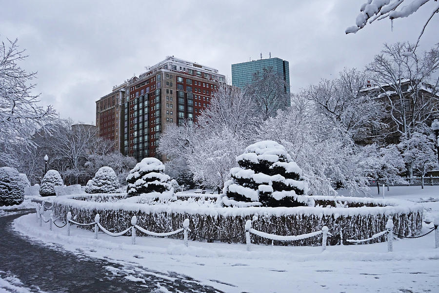 Beautiful Winter Wonderland in the Boston Public Garden Boston MA Photograph by Toby McGuire