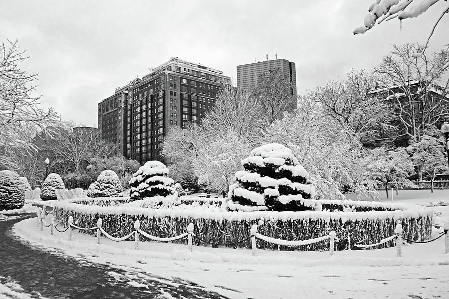 Beautiful Winter Wonderland in the Boston Public Garden Boston MA Wonderland Black and White Photograph by Toby McGuire