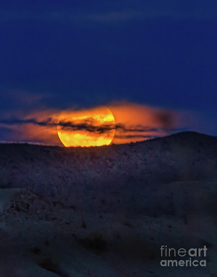 Beautiful Wolf Moon Photograph by Robert Bales