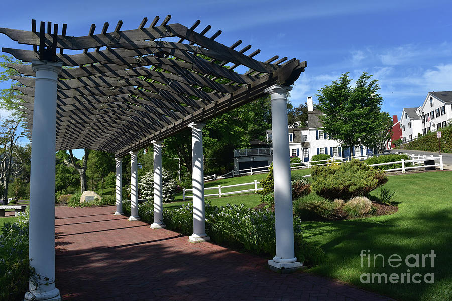 Beautiful Wood Trellis In Brewster Gardens In Plymouth Photograph