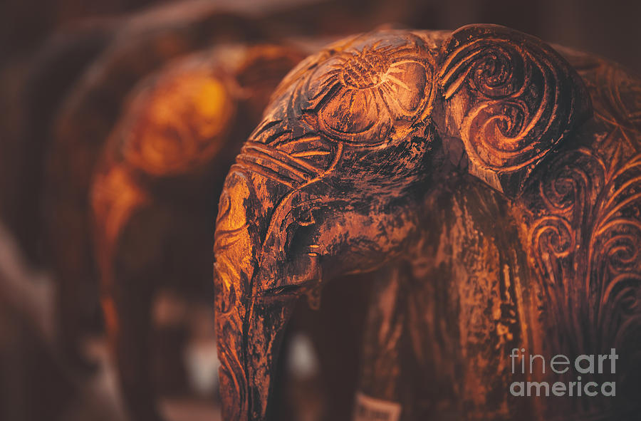 Beautiful wooden elephants Photograph by Anna Om