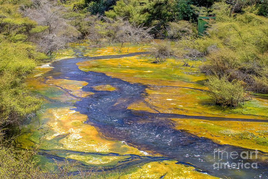 Beautiful yellow and green area in Waiotapu in New Zealand Photograph by Patricia Hofmeester