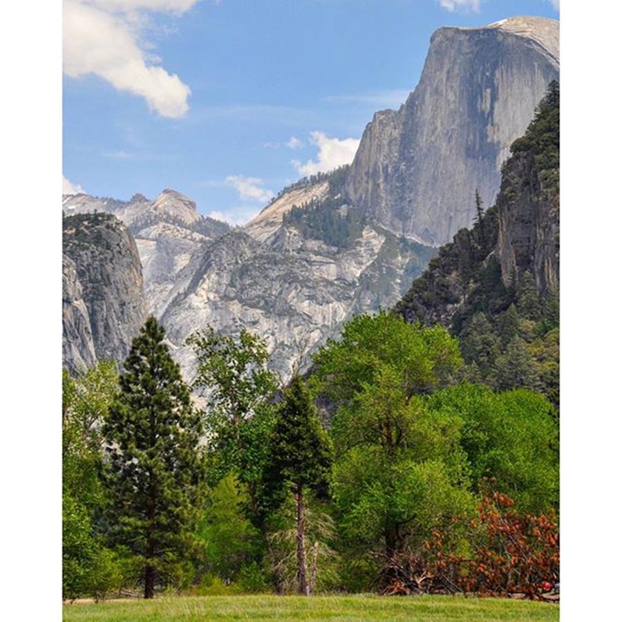 Yosemite National Park Photograph - Beautiful Yosemite 💗 🍃📷 #usa by Jules Traum