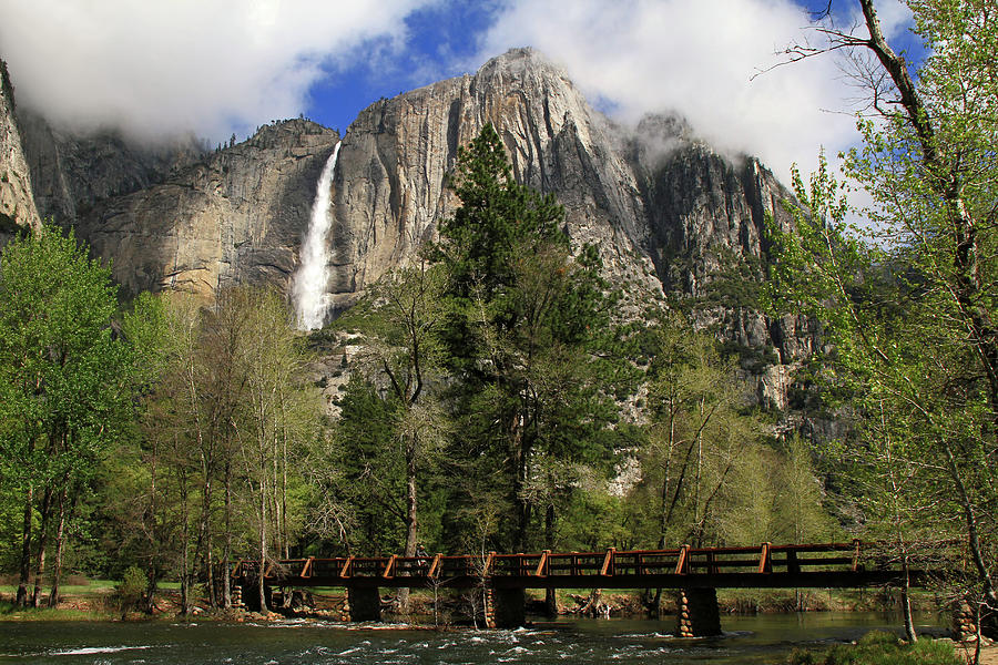 Beautiful Yosemite Photograph by Donna Kennedy