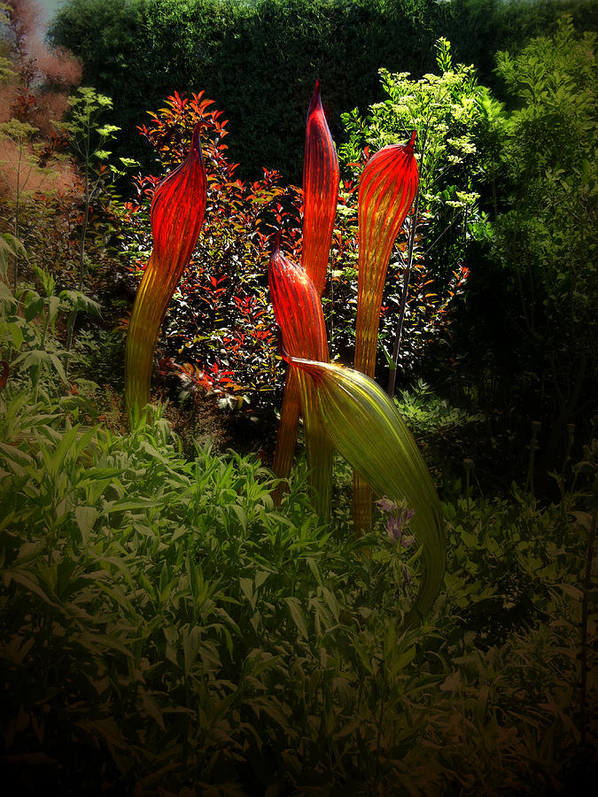 Denver Photograph - Beauty Abounds When Chihulys Glass is Around by Bobbie Barth
