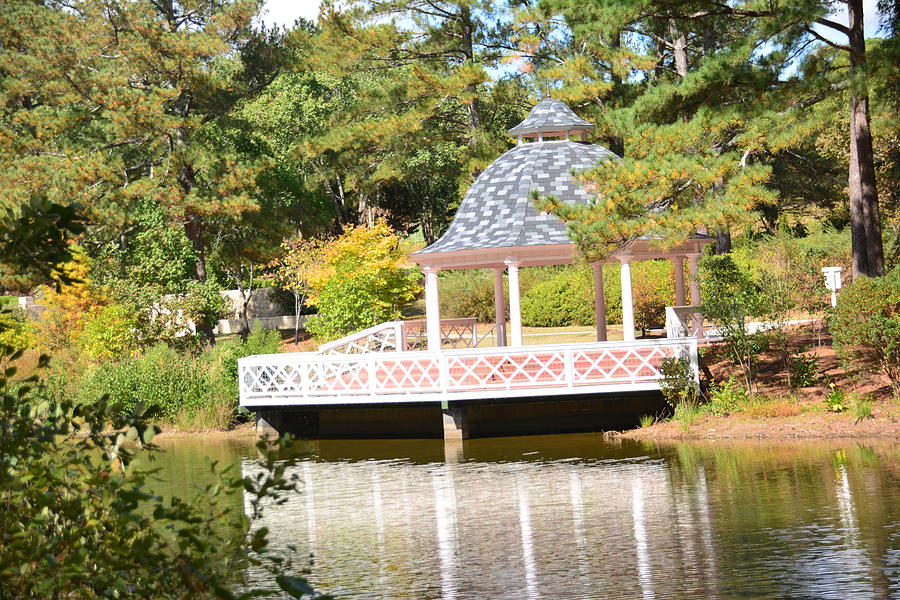 beauty all around -Gazebo on the Water Photograph by Adrian De Leon Art and Photography