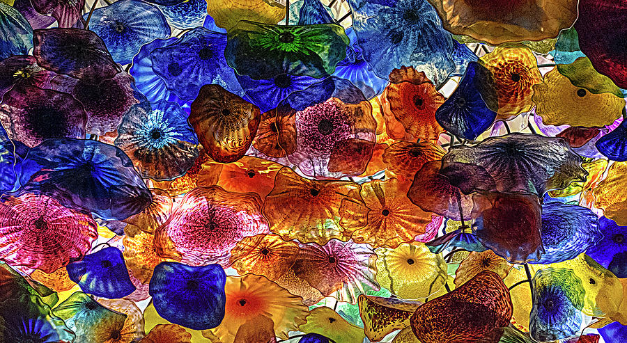 Beauty All Around Us by Michael Rogers Beauty All Around Us by Michael Rogers