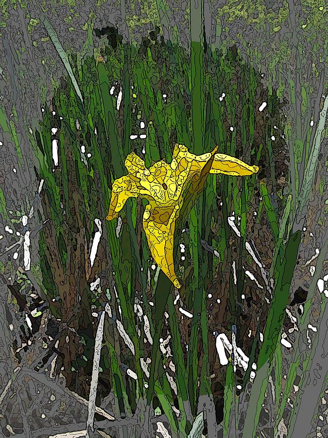 Tim Allen Digital Art - Beauty And The Reeds by Tim Allen