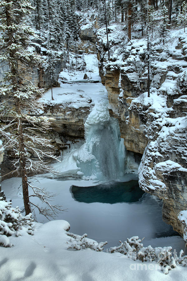 Beauty Creek Frozen Falls Photograph by Adam Jewell
