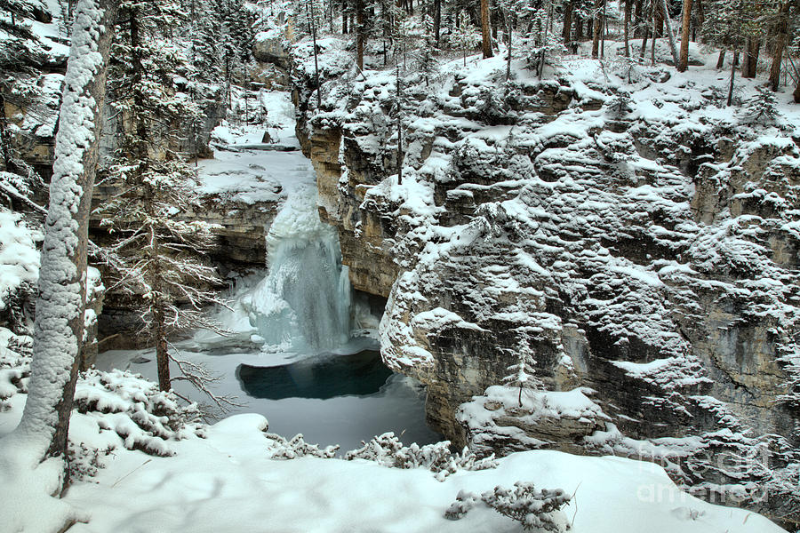 Beauty Creek Frozen Falls Landscape Photograph by Adam Jewell