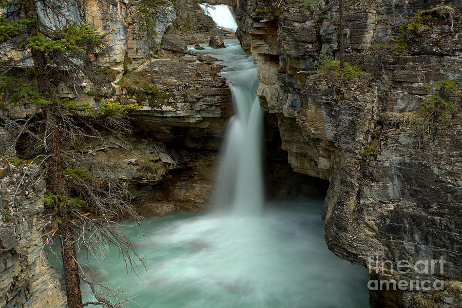 Beauty Creek Hidden Waterfall Canyon Photograph by Adam Jewell