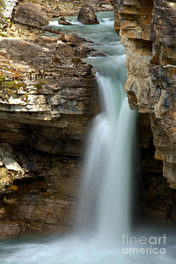 Beauty Creek Stanley Falls Photograph by Adam Jewell
