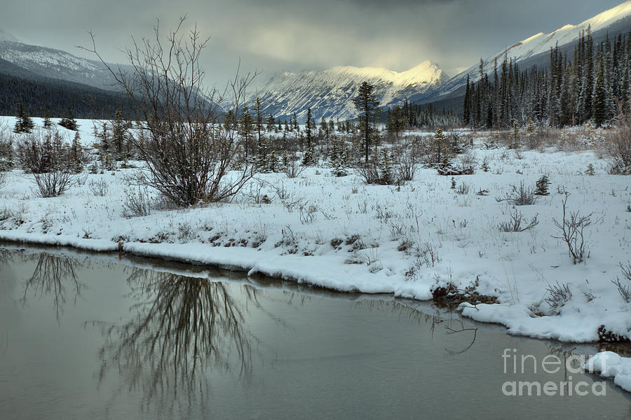 Beauty Creek Winter Reflections Photograph by Adam Jewell