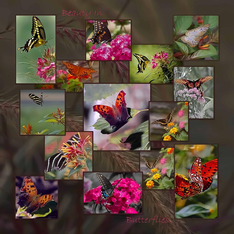 Beauty in Butterflies Photograph by DigiArt Diaries by Vicky B Fuller