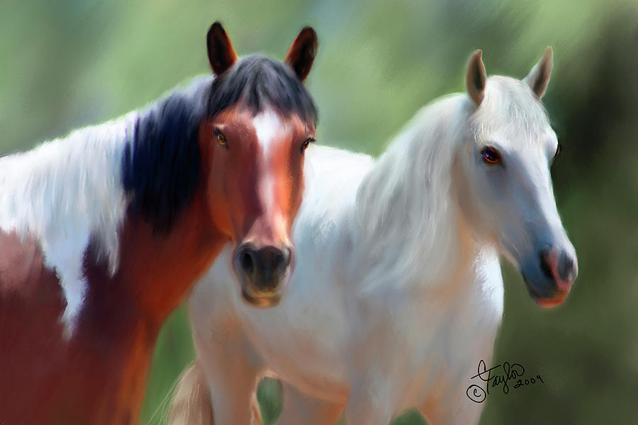 Horse Painting - Beauty in Colorado  by Colleen Taylor