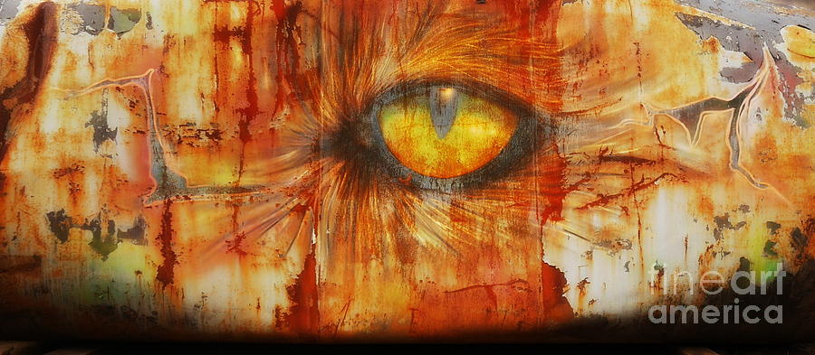 Beauty in the Eye of the Beholder Photograph by Lexa Harpell