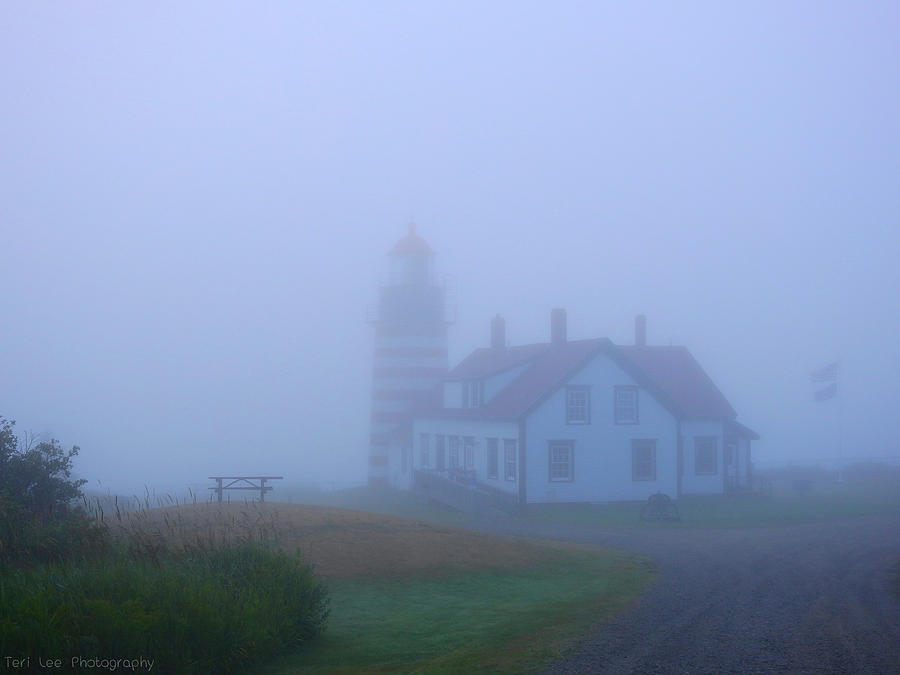 Lighthouse Photograph - Beauty in the Fog by Teri Lee