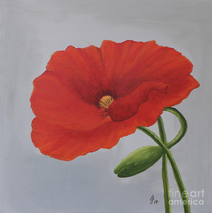 Beauty Of A Red Poppy Painting by Christiane Schulze Art And Photography