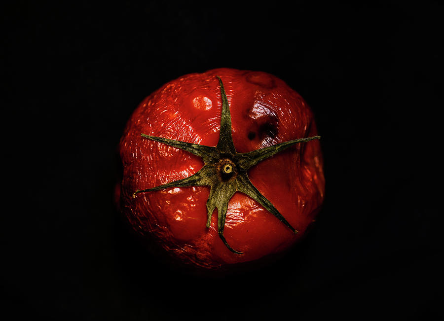 Beauty of aged tomato Photograph by Hyuntae Kim