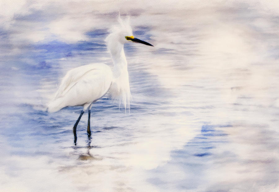 Beauty Of An Egret Photograph by Georgiana Romanovna